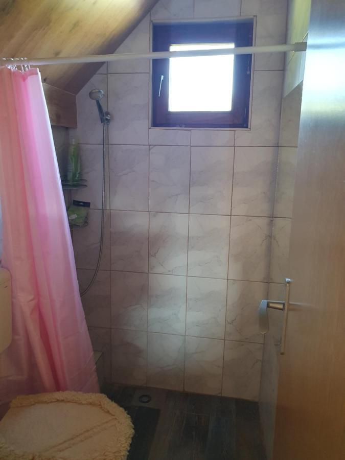 Planinska Koliba Ajdanovici Jelovac Nisicka Visoravan Olovo  Exterior photo
